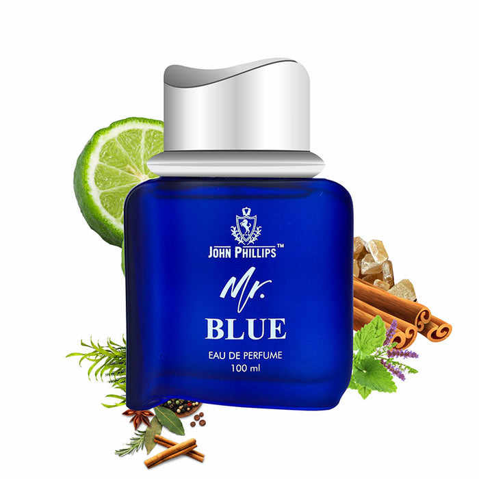 MR. BLUE | Skin Friendly & Long Lasting Perfume | Mens Aqua Fragrance For Party,Gym,Travel & Date | 100ML - 1600+ Sprays